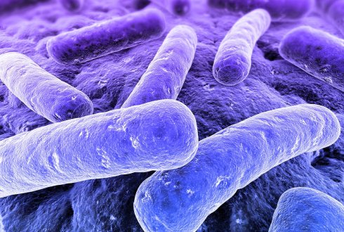 LE CHOLÉRA : SAUVEGARDER NOTRE SANTÉ