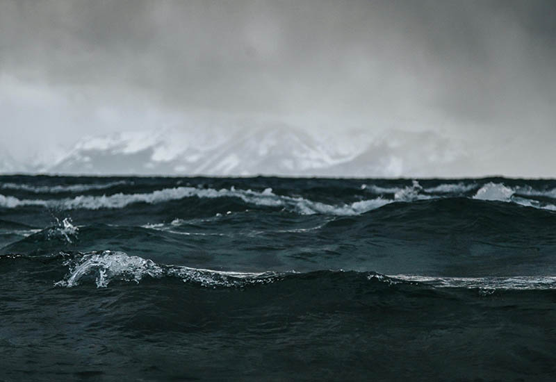 Jésus, dans la tempête avec nous