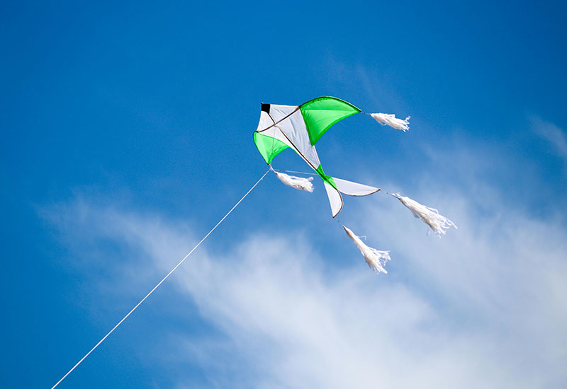 Un jeune garçon et son cerf-volant
