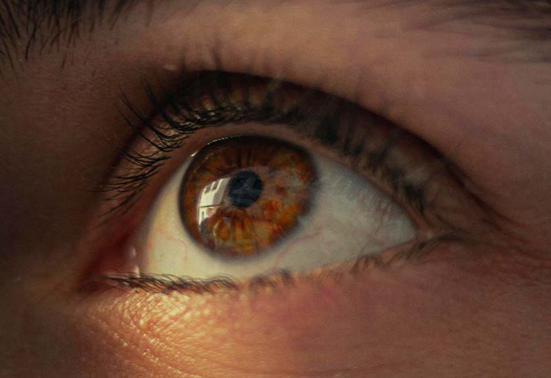 L’intelligence émotionnelle salvatrice